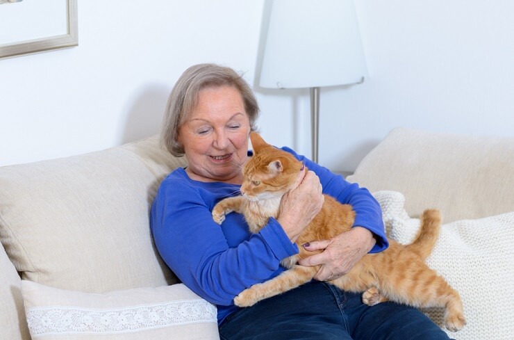 Ein Bild, das eine herzerwärmende Szene zwischen einer älteren Dame und einer Katze zeigt.