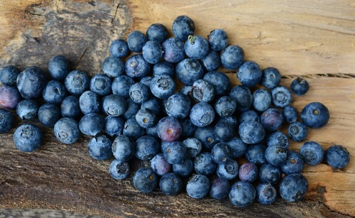 Blaubeeren-2270379_640