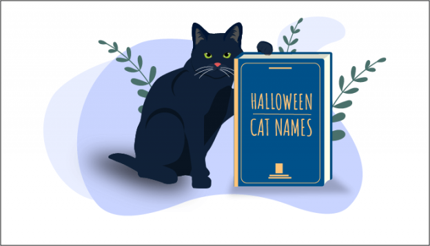 Die 150 beliebtesten Katzennamen zum Thema Halloween