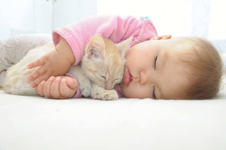 Ein herzerwärmendes Bild, das ein Baby und eine Katze zusammen zeigt und einen zärtlichen Moment zwischen den beiden Gefährten einfängt.