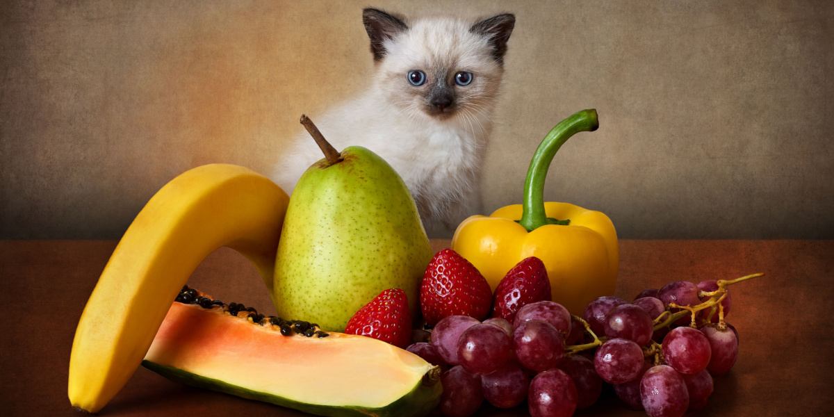 Kätzchen spielt mit Gemüse und Obst