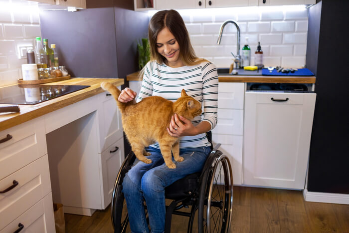 So halten Sie Katzen von Theken fern