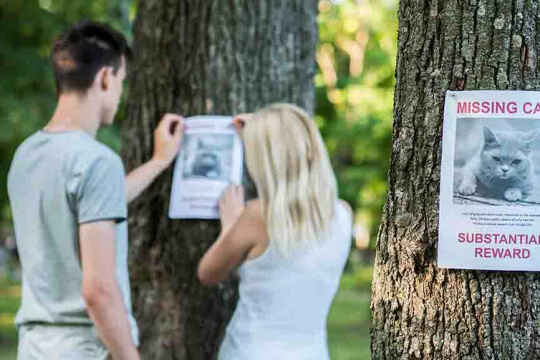 Ein Bild, das eine besorgte Person zeigt, die einen Flyer mit der Aufschrift „Katze vermisst“ in der Hand hält und möglicherweise nach einer vermissten Katze sucht.