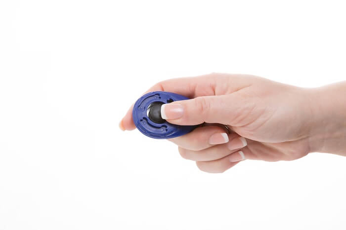 Clicker for cat training