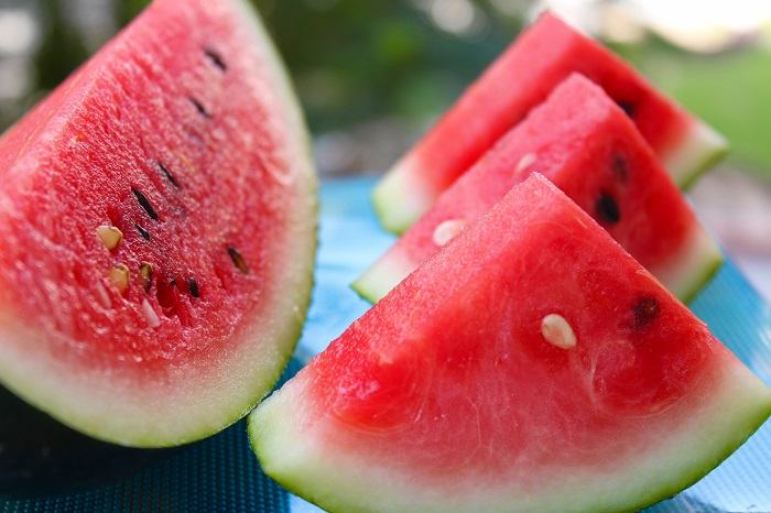 Neugierige Katze untersucht ein Stück Wassermelone und weckt so ihr Interesse an unkonventionellen Snacks.