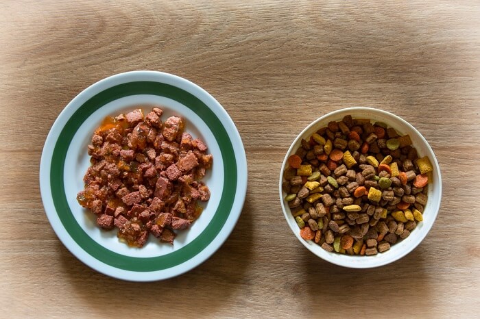 Näpfe mit Nass- und Trockenfutter für Katzen