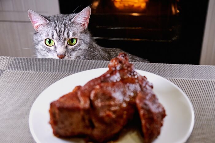 Abenteuerlustige Katze, fasziniert von einem köstlichen Steak.