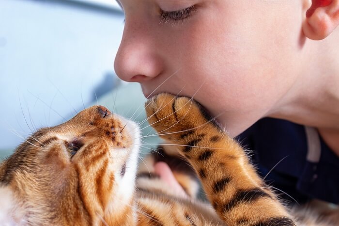 Kind mit Bengalkatze