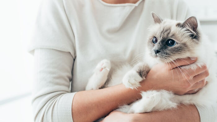 Frau umarmt ihren Katzengefährten herzlich.