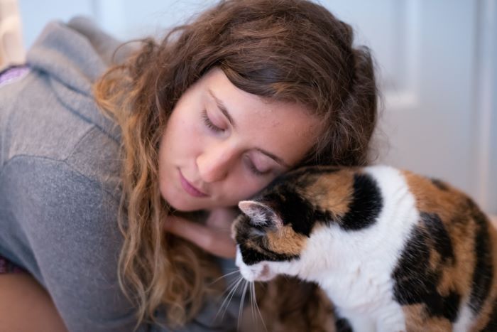 Katze interagiert mit Mensch