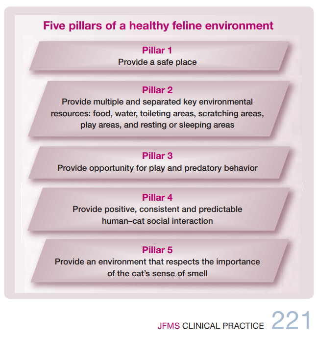 Fünf Säulen einer gesunden Katzenumgebung JFMS