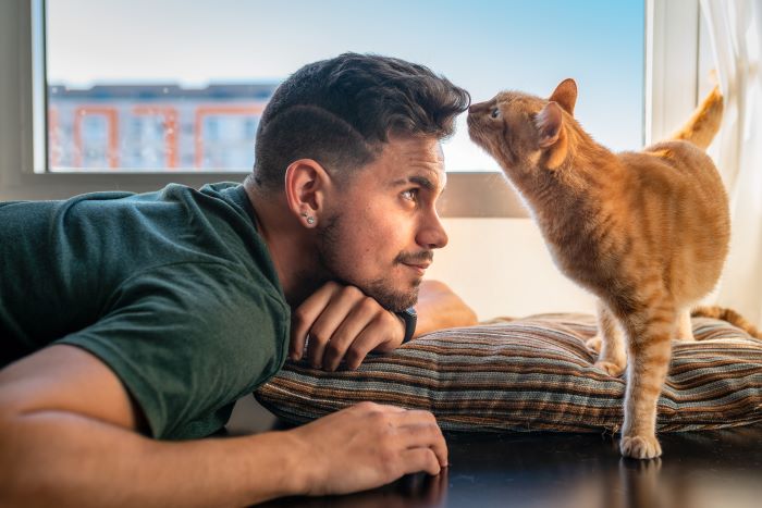 Katze schnüffelt an den Haaren eines Mannes