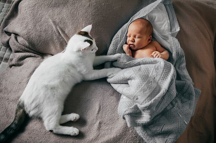 Ein bezauberndes Bild eines Babys und einer Katze, das eine süße und liebenswerte Interaktion zwischen den beiden zeigt.