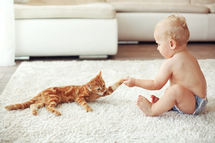 Ein bezauberndes Bild einer Katze und eines Babys, die sich die Hand geben und eine entzückende und sanfte Interaktion zwischen den beiden symbolisieren.