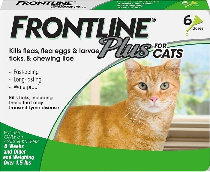 Frontline Plus für Katzen: Überblick, Dosierung und Nebenwirkungen