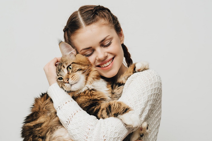 Ein Bild, das eine Katze zeigt, die von einer Person umarmt wird.