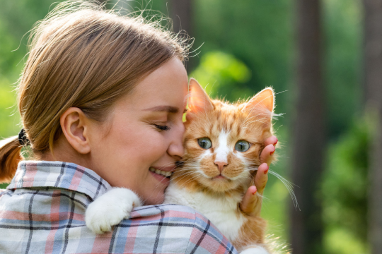 Neue Studie legt nahe, dass Katzenbesitzer ihre Katzen mehr lieben als ihre Partner