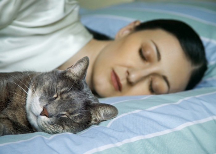 Bild einer Frau, die friedlich mit ihrer Katze schläft. Es veranschaulicht den Trost und die Zuneigung, die Katzen ihren menschlichen Begleitern geben können.