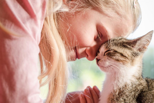 5 Möglichkeiten, eine stärkere Bindung zu Ihrer Katze aufzubauen