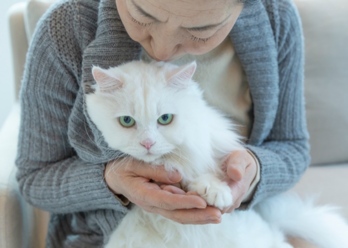 Ein Bild mit einer Frau, die eine Katze auf dem Schoß hält.