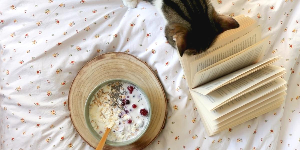 Eine Katze, die es sich in einem Bett neben einer Schüssel Haferbrei und einem Buch gemütlich gemacht hat und so eine gemütliche und bezaubernde Szene schafft