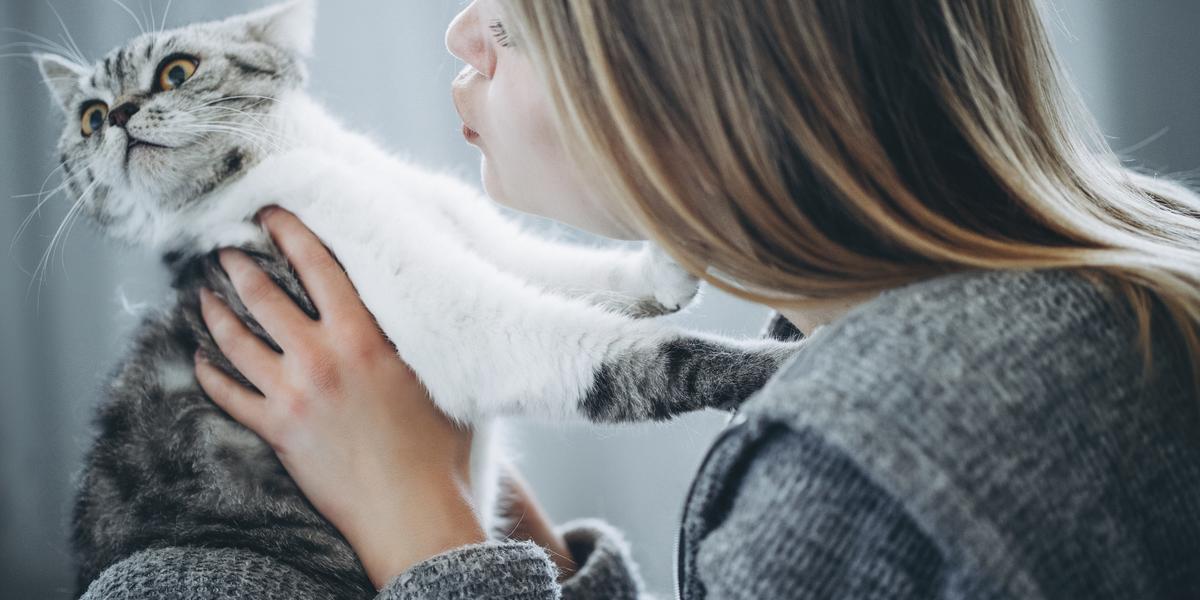 Bild einer weniger anhänglichen Katze mit eher zurückhaltendem Verhalten, das die große Bandbreite an Persönlichkeiten verdeutlicht, die bei Katzen zu finden ist.