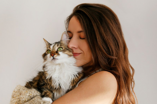 So bauen Sie eine bessere Beziehung zu Ihrer Katze auf