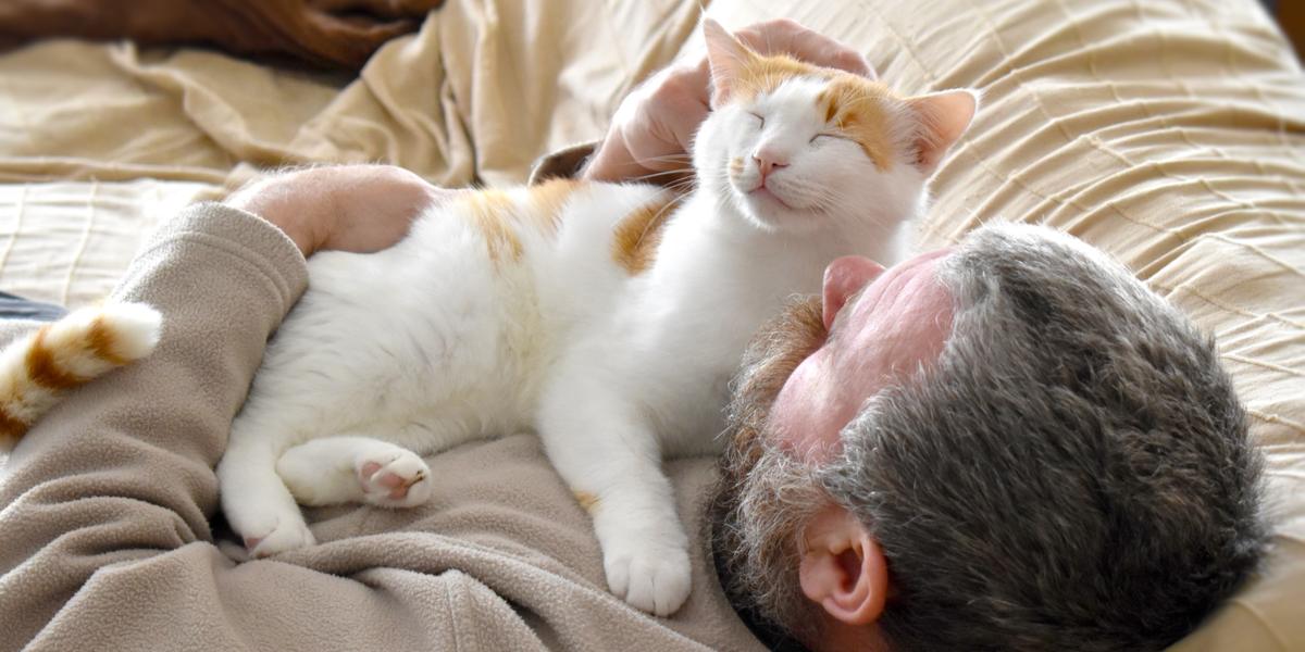 Bild einer Katze, die auf der Brust einer Person liegt. Das Bild verdeutlicht das liebevolle Verhalten und die enge Bindung zwischen Katzen und ihren menschlichen Begleitern.