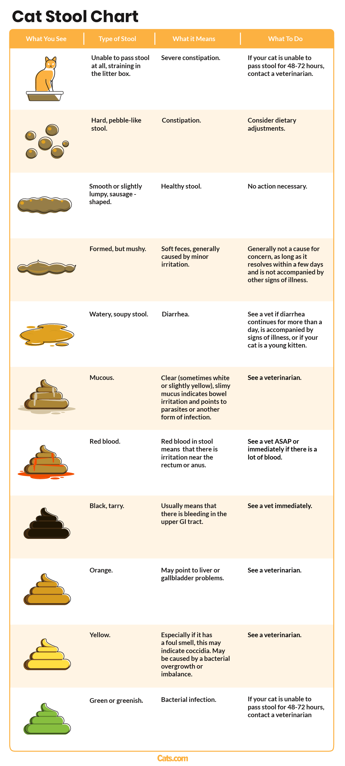 Stuhlgangdiagramm für Katzen