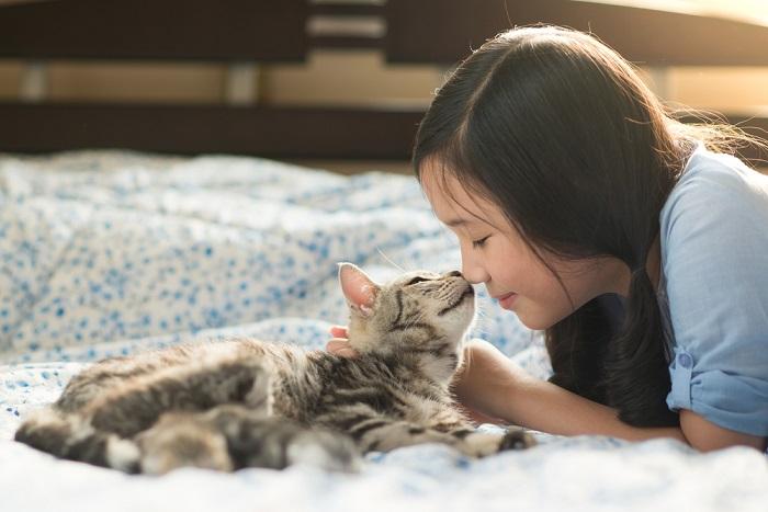 Ein Kind und eine Katze zusammen. Die Darstellung zeigt eine herzerwärmende Interaktion zwischen einem kleinen Kind und seiner Katze.