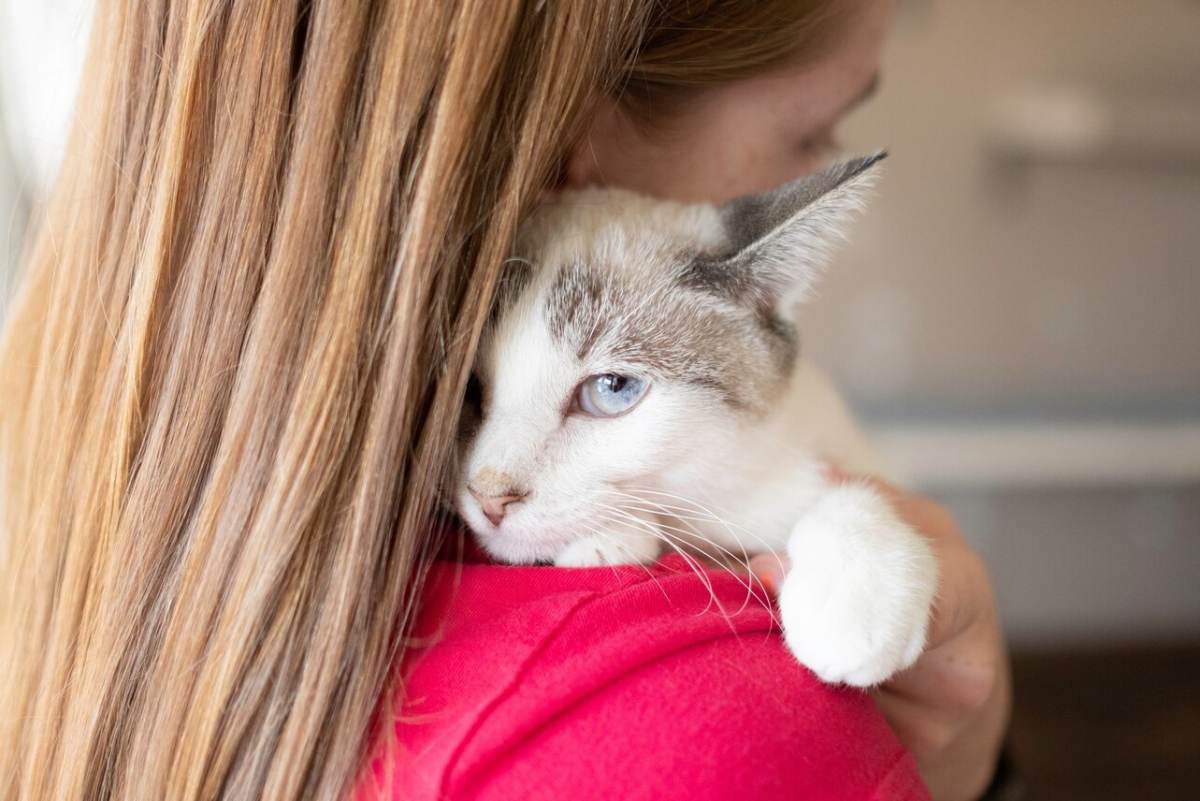 Eine Dame umarmt ihre Katze voller Zuneigung und zeigt damit die tiefe Verbundenheit zwischen Mensch und Katze sowie die Wärme und Geborgenheit, die sie in ihrer Umarmung empfinden.