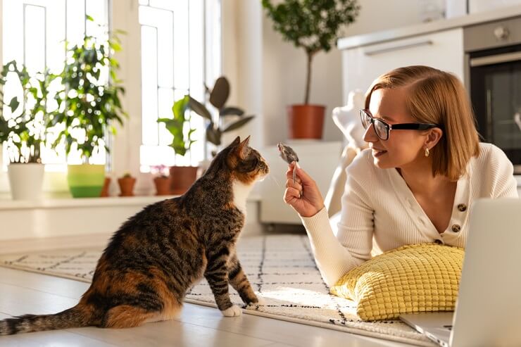 Ein ansprechendes Bild einer Person, die freudig mit ihrer Katze spielt und mithilfe eines Spielzeugs interagiert und Momente voller Spaß und Verbundenheit schafft. Dabei wird deutlich, wie wichtig es ist, durch Spiel eine Bindung aufzubauen.