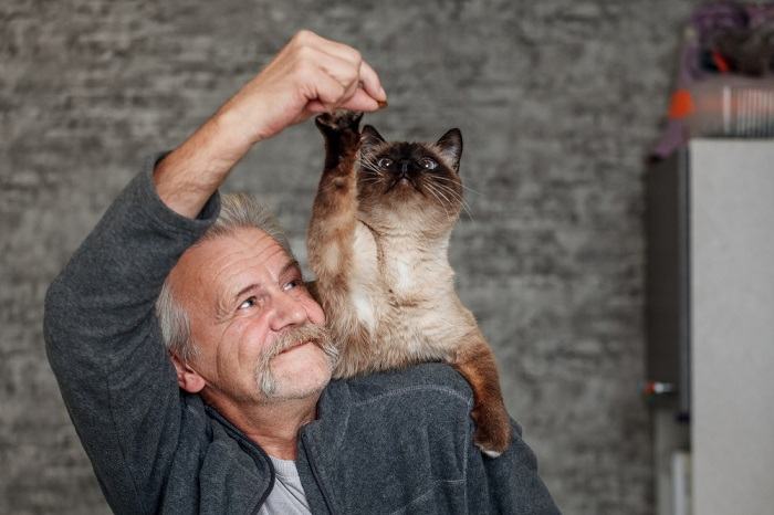 Das Bild scheint eine hungrige Katze darzustellen.