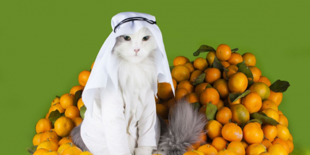 200 beste arabische Katzennamen mit Bedeutung