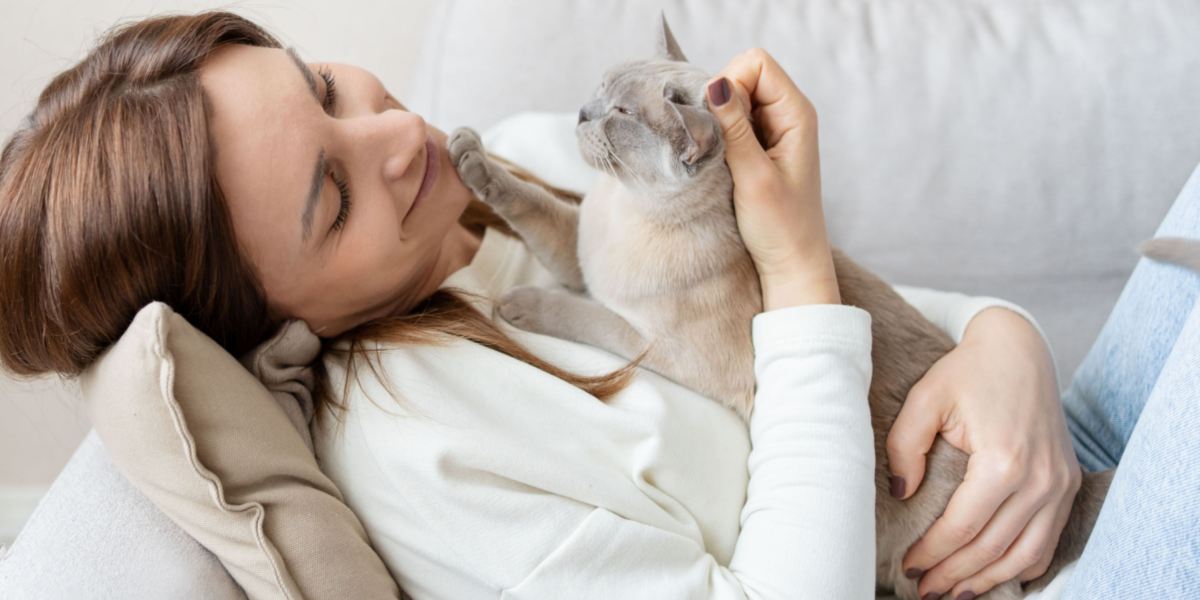 Eine neugierige und anhängliche Katze schmiegt sich an die Brust einer Person und ihre leuchtenden Augen spiegeln ihre verspielte Natur wider.