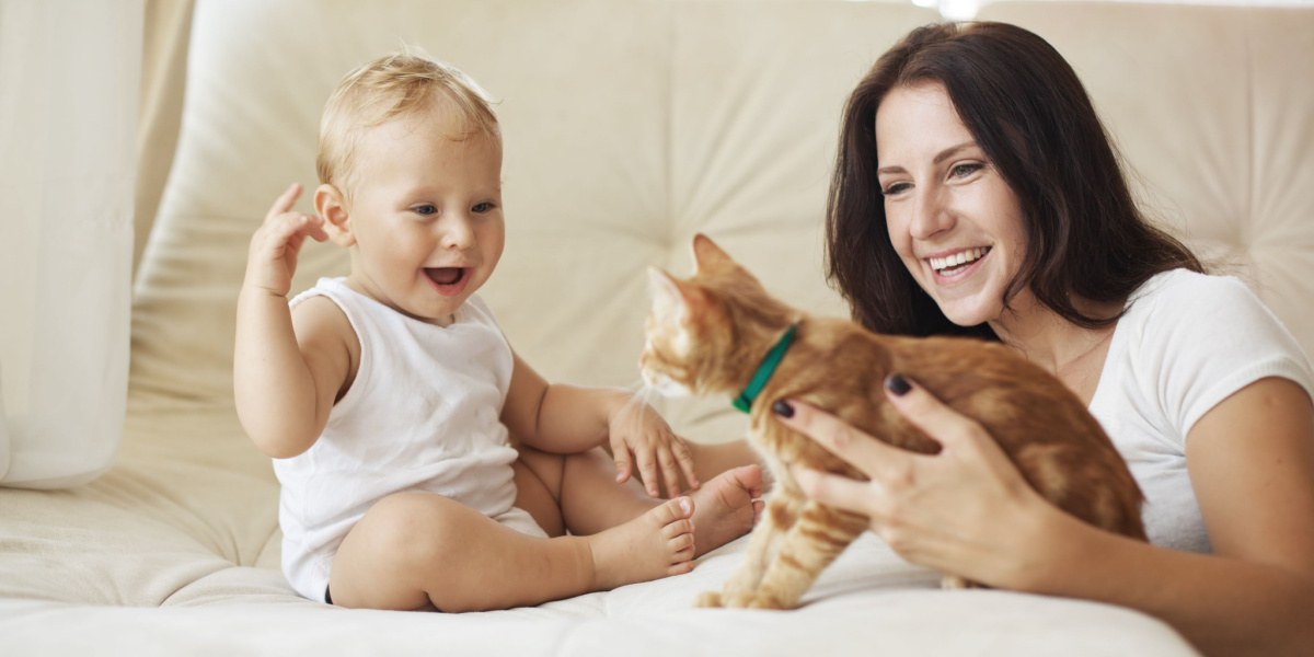 Ein Bild, das ein Baby neben einer Katze zeigt, das möglicherweise eine herzerwärmende Interaktion oder Kameradschaft zwischen den beiden darstellt.