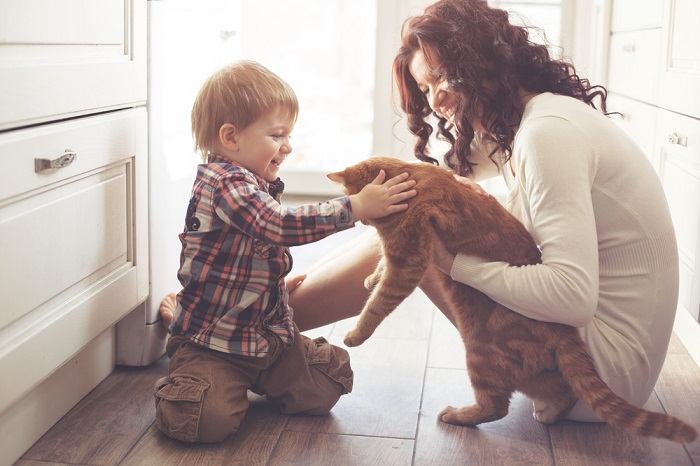 Ein bezauberndes Bild, das eine Katze und ein Kleinkind zeigt, die einen herzerwärmenden Moment teilen.