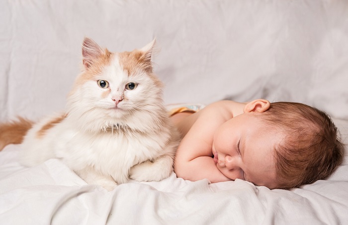 Eine wachsame Katze wacht mit beschützendem Blick über ein friedlich schlafendes Baby.