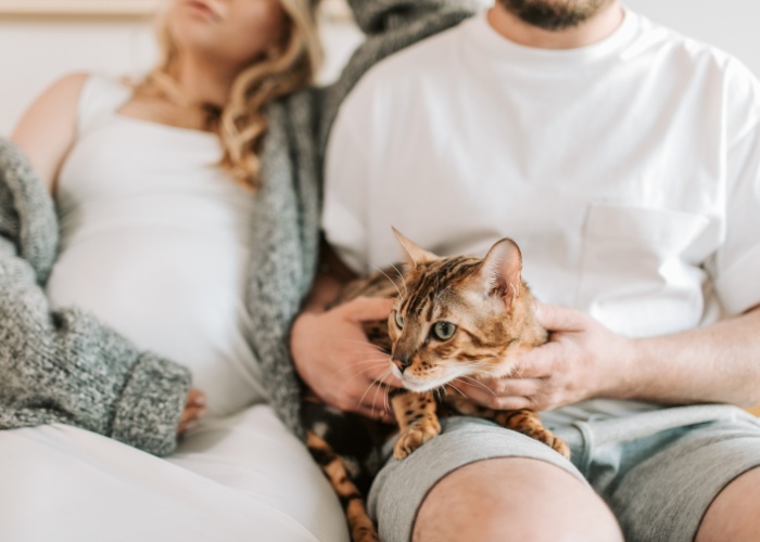 Bild einer Katze, die es sich zwischen einem Paar gemütlich macht und die gegenseitige Zuneigung und das Glück symbolisiert, die Haustiere in eine Beziehung bringen können.