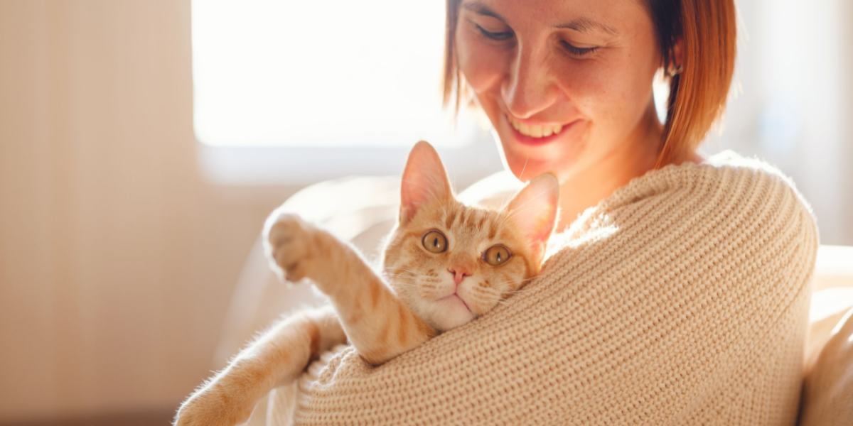 Das Training einer Katze, die nicht zu gehorchen scheint, kann eine Herausforderung sein, ist aber nicht unmöglich.