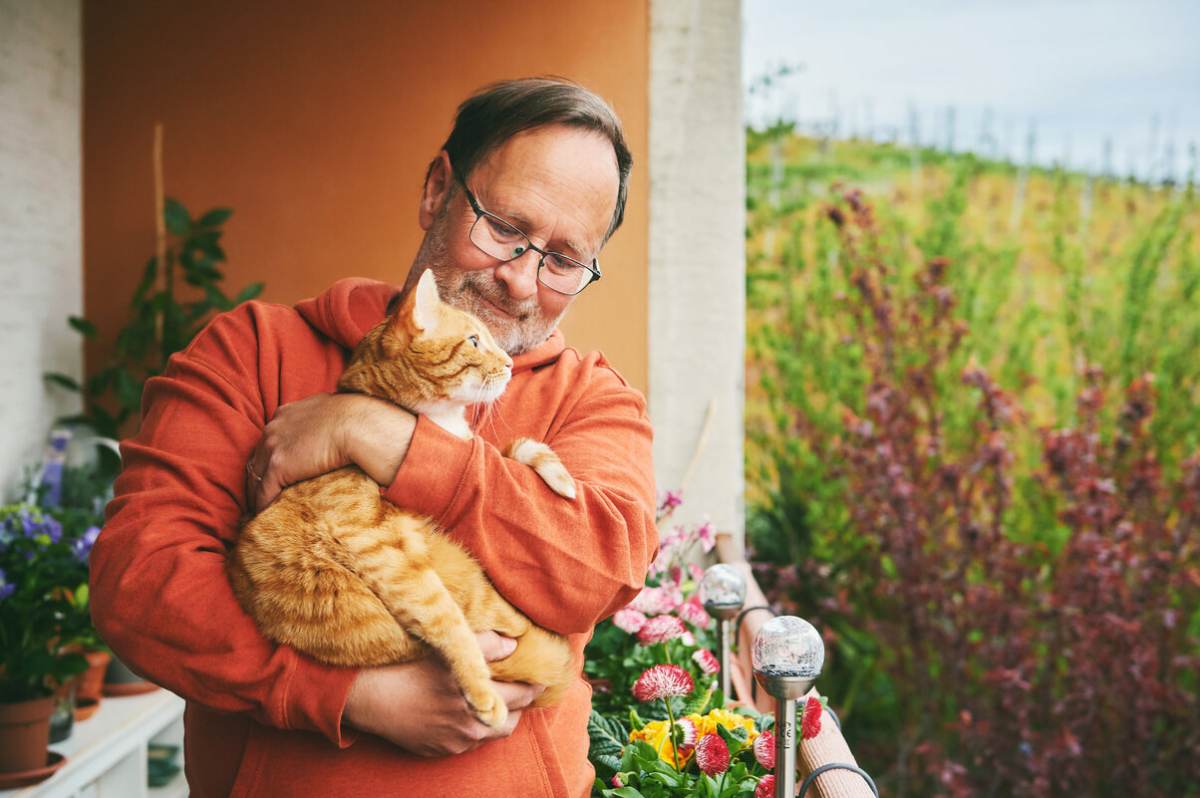 Foto eines Ehemannes mit einer Katze im Arm, das ein herzerwärmendes Beispiel für Kameradschaft und Fürsorge zwischen einem Tierbesitzer und seinem Katzenfreund ist.