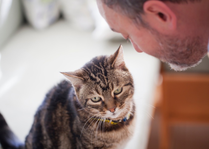 Bild eines Mannes, der einen zärtlichen und liebevollen Moment mit seiner Katze verbringt und die sanfte und liebevolle Bindung zeigt, die zwischen ihnen entstanden ist.