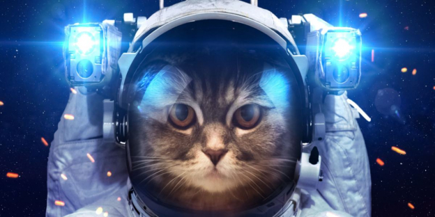 150 beste Weltraumnamen für Katzen