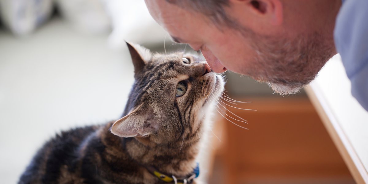 Bild, das eine Person zeigt, die sich mit einer Katze unterhält.