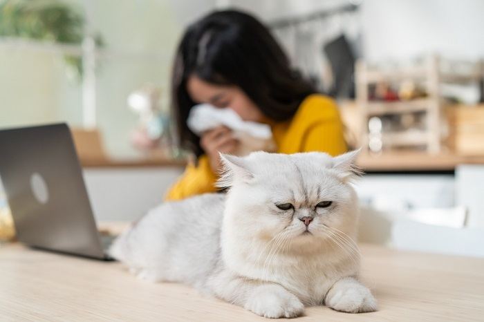 Das Bild zeigt das Szenario einer Frau, bei der möglicherweise Symptome aufgrund einer Katzenallergie auftreten, und verdeutlicht die Herausforderungen, denen sich Allergiker gegenübersehen.