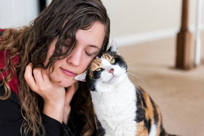 Das Bild zeigt einen herzerwärmenden Moment, in dem sich eine Katze am Gesicht einer Frau reibt.