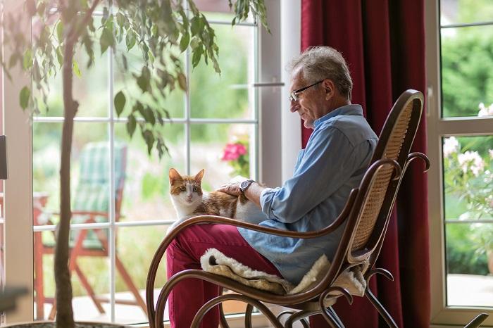 Eine ältere Katze ruht auf dem Schoß einer Person und teilt einen zärtlichen Moment, der die wohltuende Kameradschaft zwischen Katzen und ihren menschlichen Pflegern veranschaulicht.