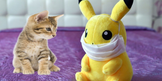 150 süße Pokemon-Namen für Katzen mit Bedeutung