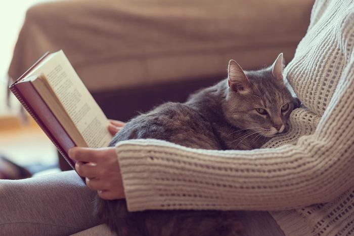 Frau liest Buch Katze sitzt auf dem Schoß