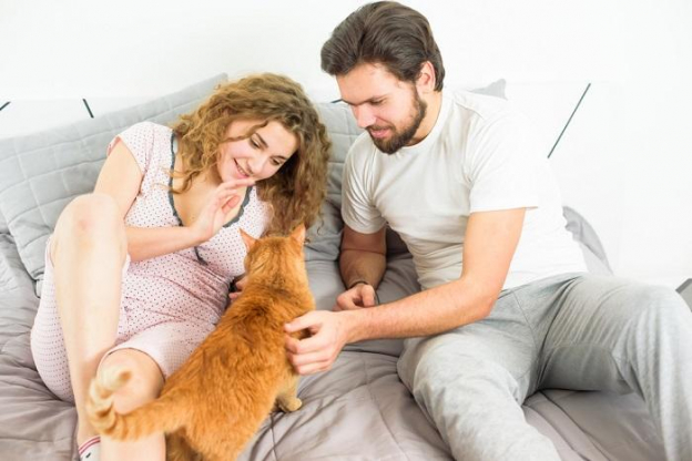 Warum Ist Meine Katze Plötzlich So Anhänglich Warum ist meine Katze plötzlich so ängstlich? 8 Gründe! - Cats.com